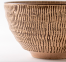 Coral Whisper – Japanese Ramen Bowl