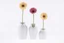 Dress-up Vase by Sato Oki